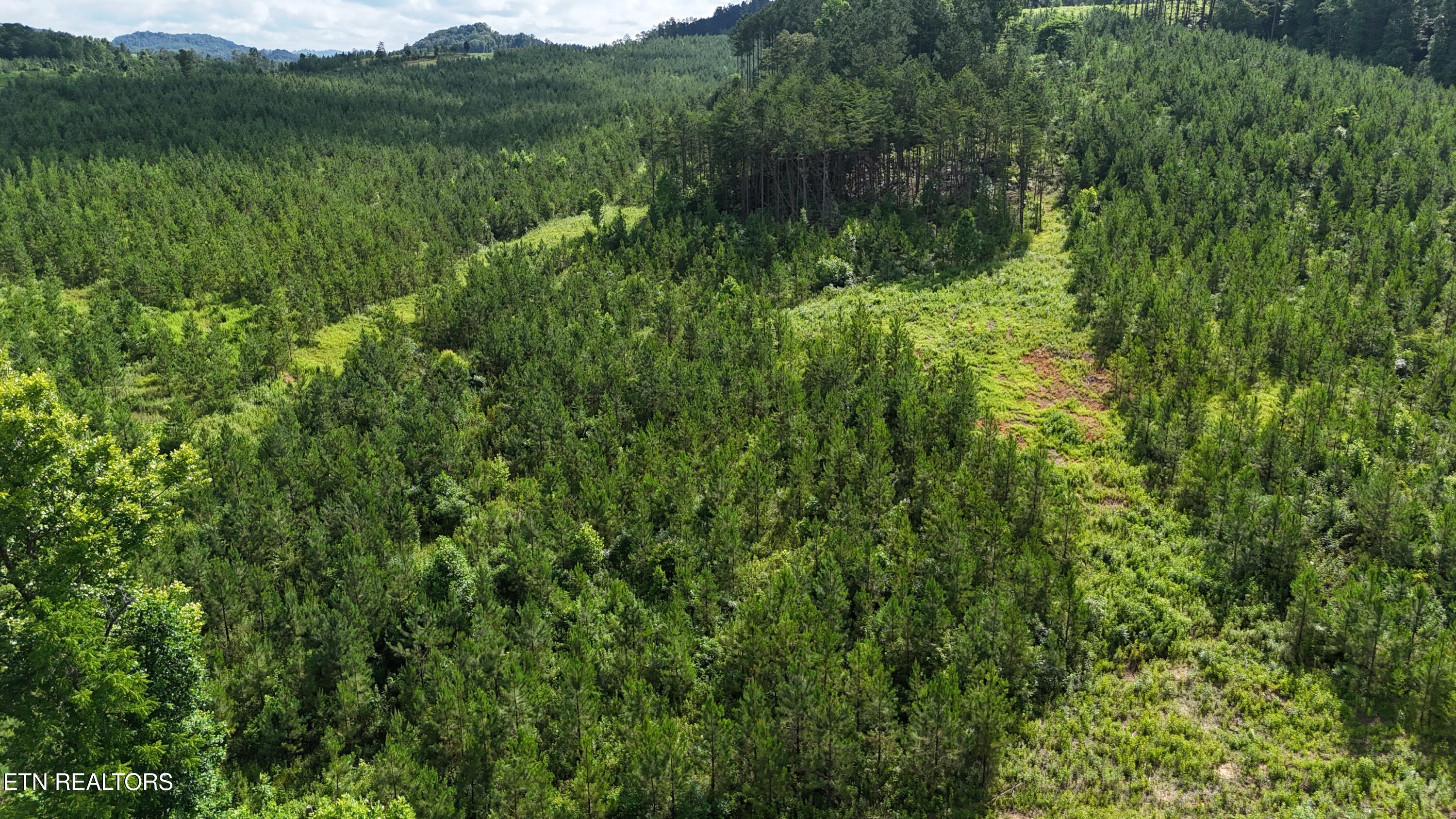 Lot 41 Three Point Road Madisonville TN 37354