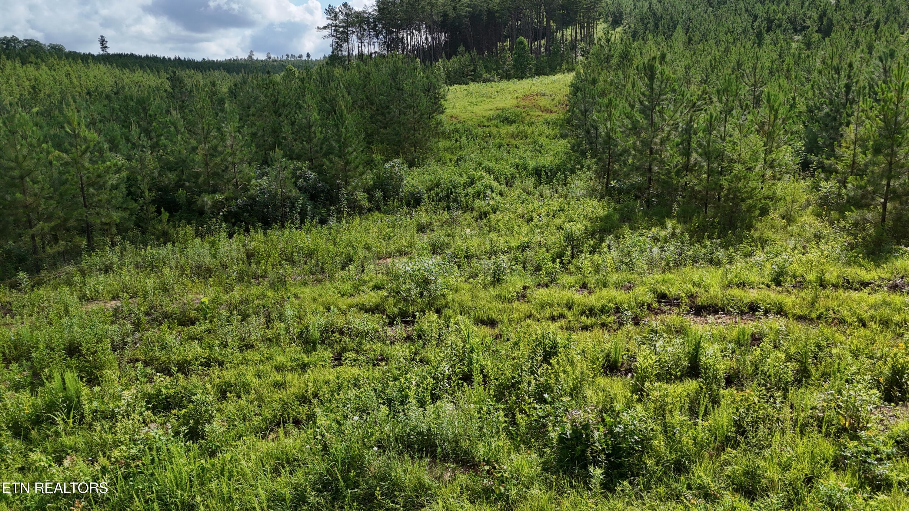 Lot 41 Three Point Road Madisonville TN 37354