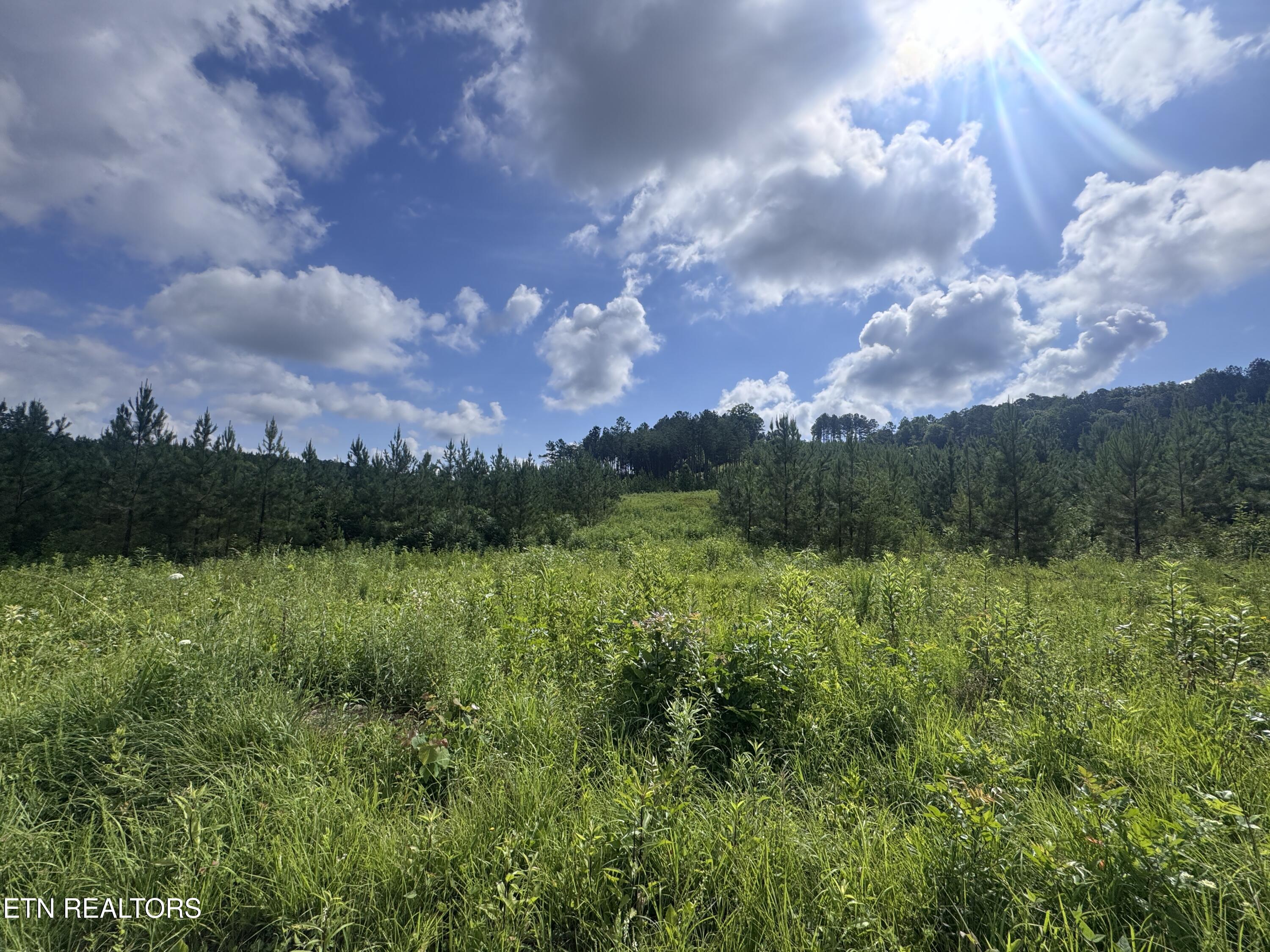 Lot 41 Three Point Road Madisonville TN 37354