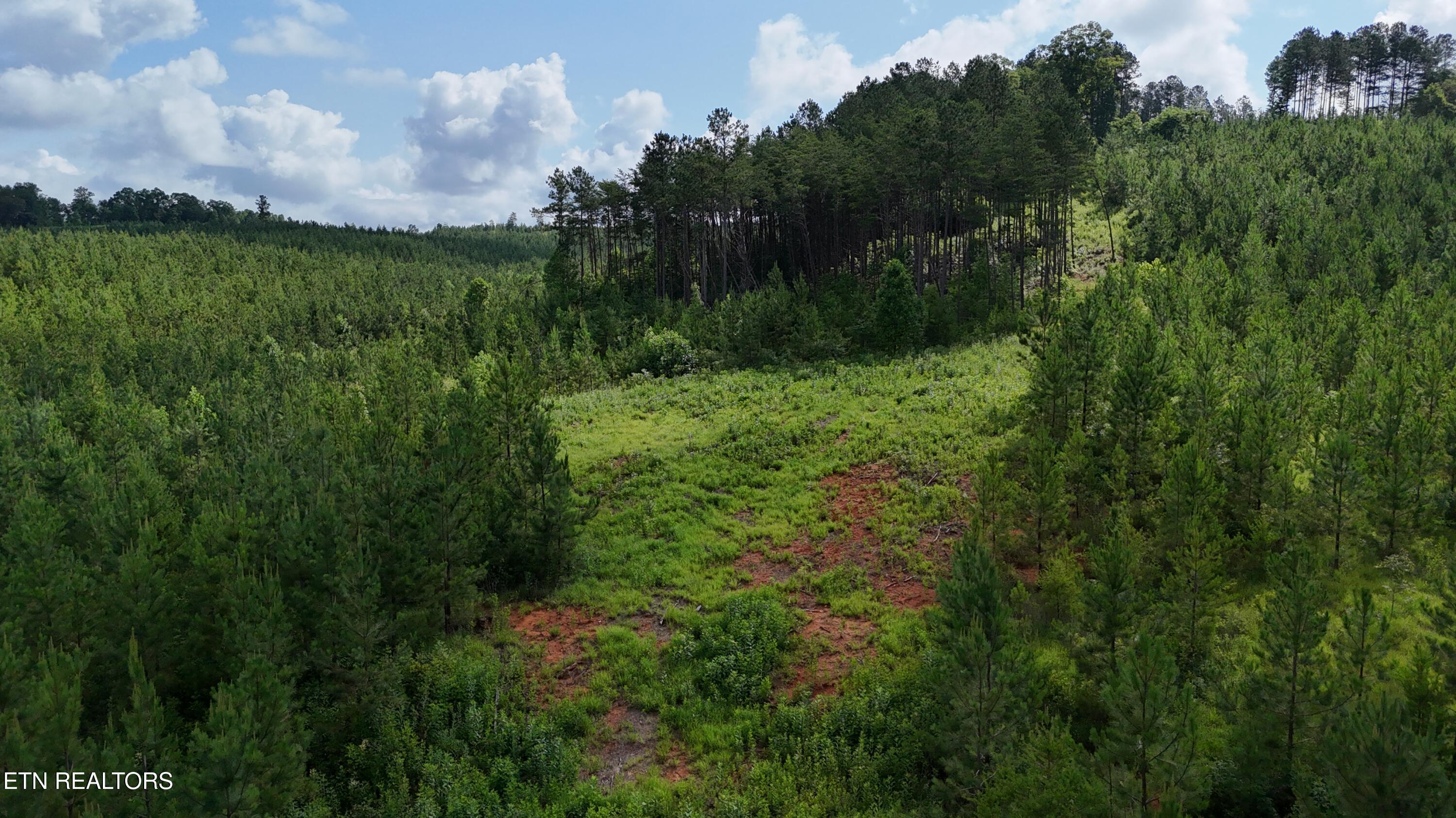 Lot 41 Three Point Road Madisonville TN 37354