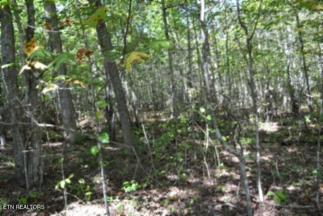 Lot 1 Arrow Trail Monterey TN 38574