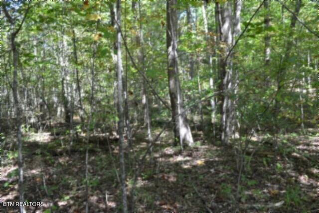 Lot 1 Arrow Trail Monterey TN 38574