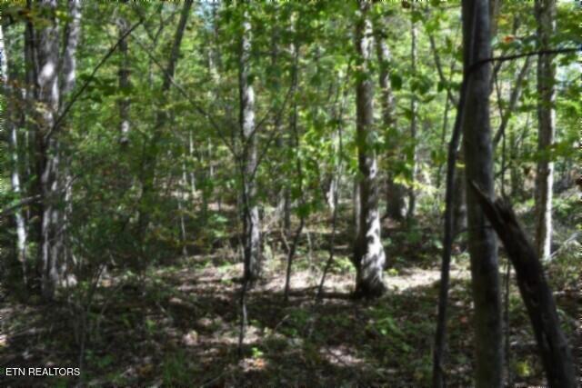 Lot 1 Arrow Trail Monterey TN 38574