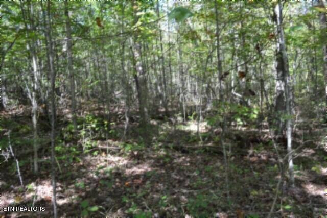 Lot 1 Arrow Trail Monterey TN 38574