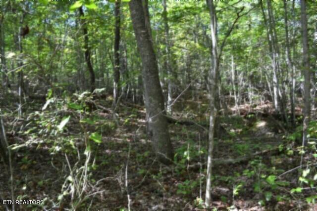 Lot 1 Arrow Trail Monterey TN 38574
