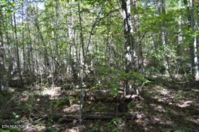 Lot 1 Arrow Trail Monterey TN 38574