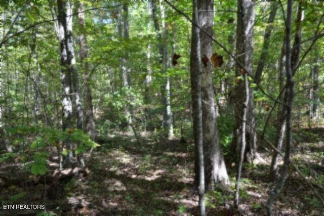 Lot 1 Arrow Trail Monterey TN 38574