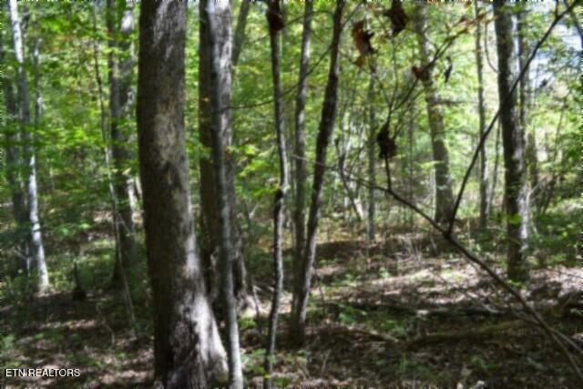 Lot 1 Arrow Trail Monterey TN 38574
