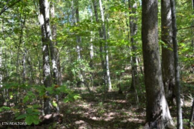 Lot 1 Arrow Trail Monterey TN 38574