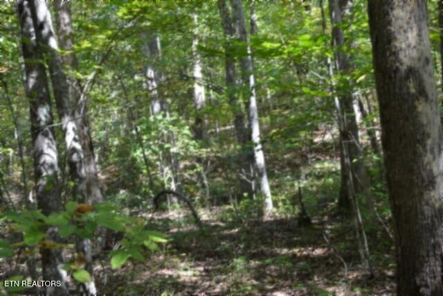 Lot 1 Arrow Trail Monterey TN 38574