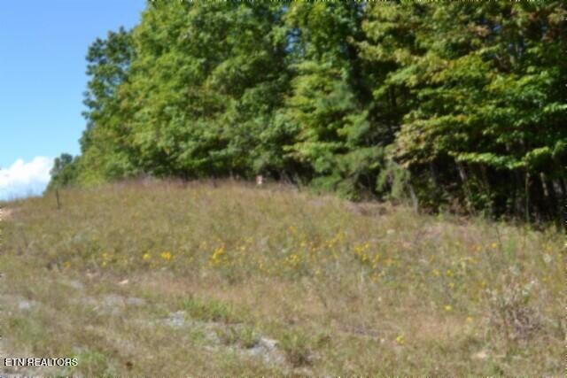 Lot 1 Arrow Trail Monterey TN 38574