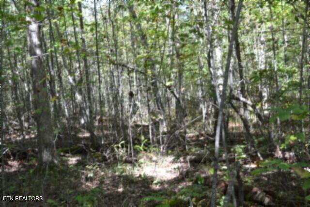 Lot 1 Arrow Trail Monterey TN 38574
