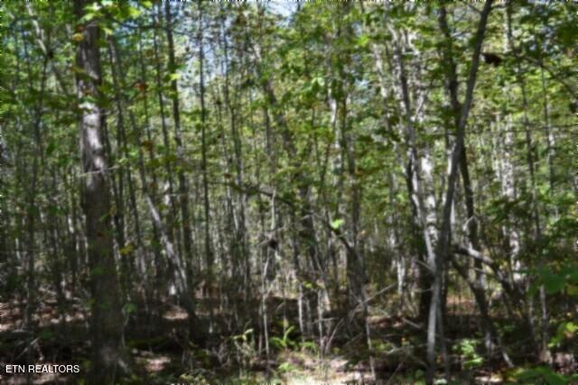 Lot 1 Arrow Trail Monterey TN 38574