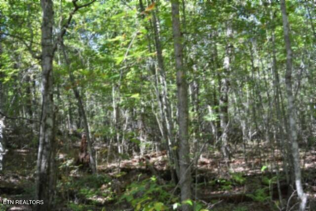 Lot 1 Arrow Trail Monterey TN 38574