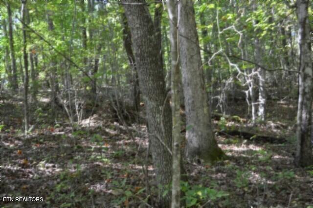Lot 1 Arrow Trail Monterey TN 38574