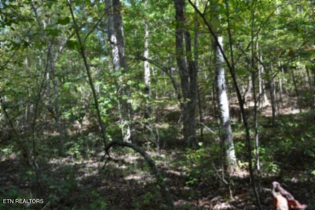 Lot 1 Arrow Trail Monterey TN 38574