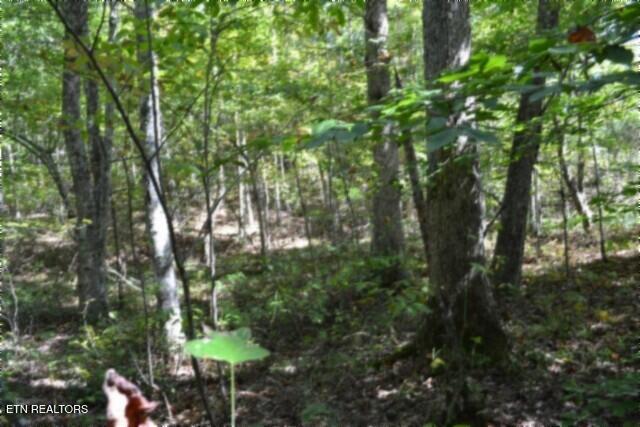Lot 1 Arrow Trail Monterey TN 38574