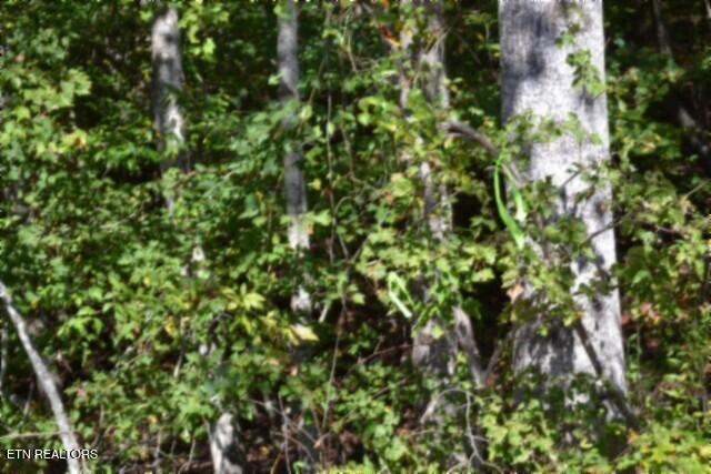 Lot 1 Arrow Trail Monterey TN 38574