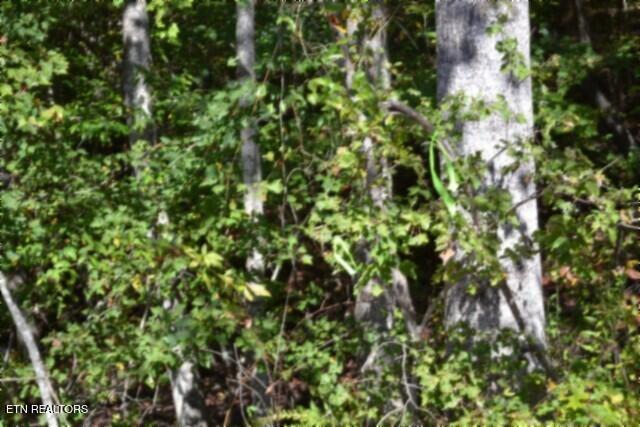 Lot 1 Arrow Trail Monterey TN 38574