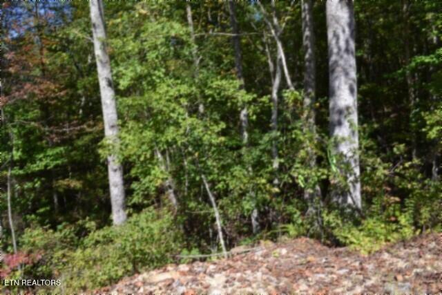 Lot 1 Arrow Trail Monterey TN 38574