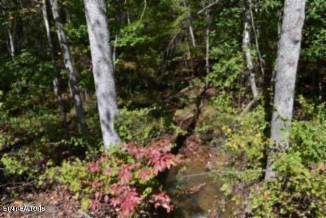 Lot 1 Arrow Trail Monterey TN 38574