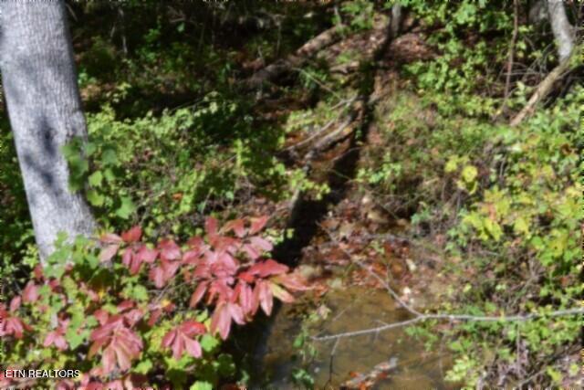 Lot 1 Arrow Trail Monterey TN 38574