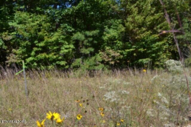 Lot 1 Arrow Trail Monterey TN 38574