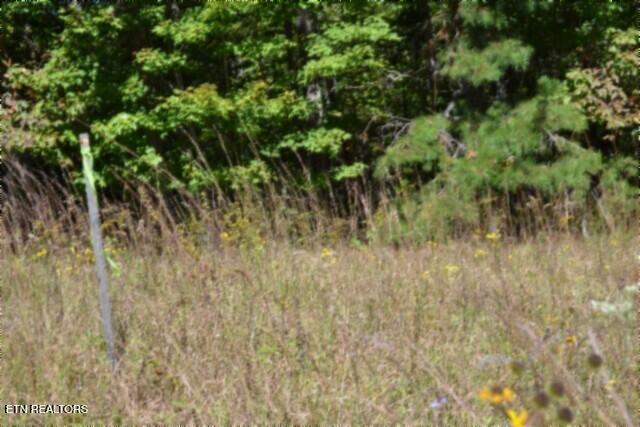 Lot 1 Arrow Trail Monterey TN 38574