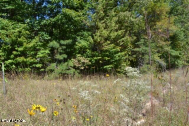 Lot 1 Arrow Trail Monterey TN 38574