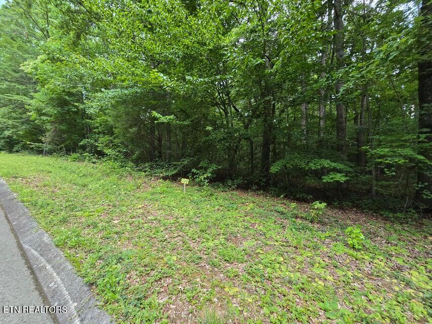 Lot 138 Lower Brow Road Dunlap TN 37327