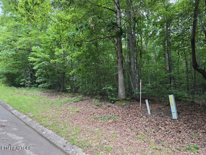 Lot 138 Lower Brow Road Dunlap TN 37327