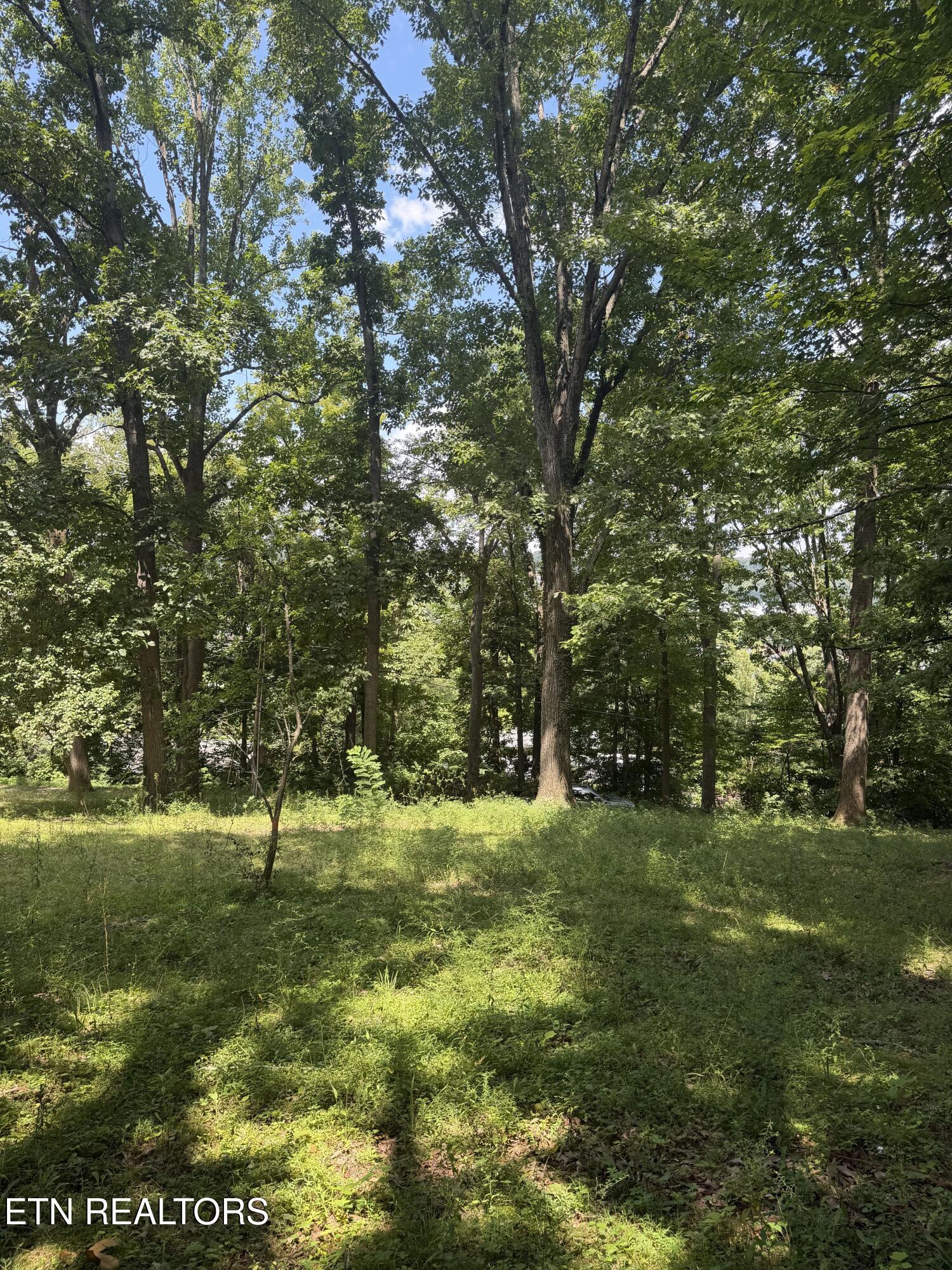 5000 Skyview Drive Knoxville TN 37917
