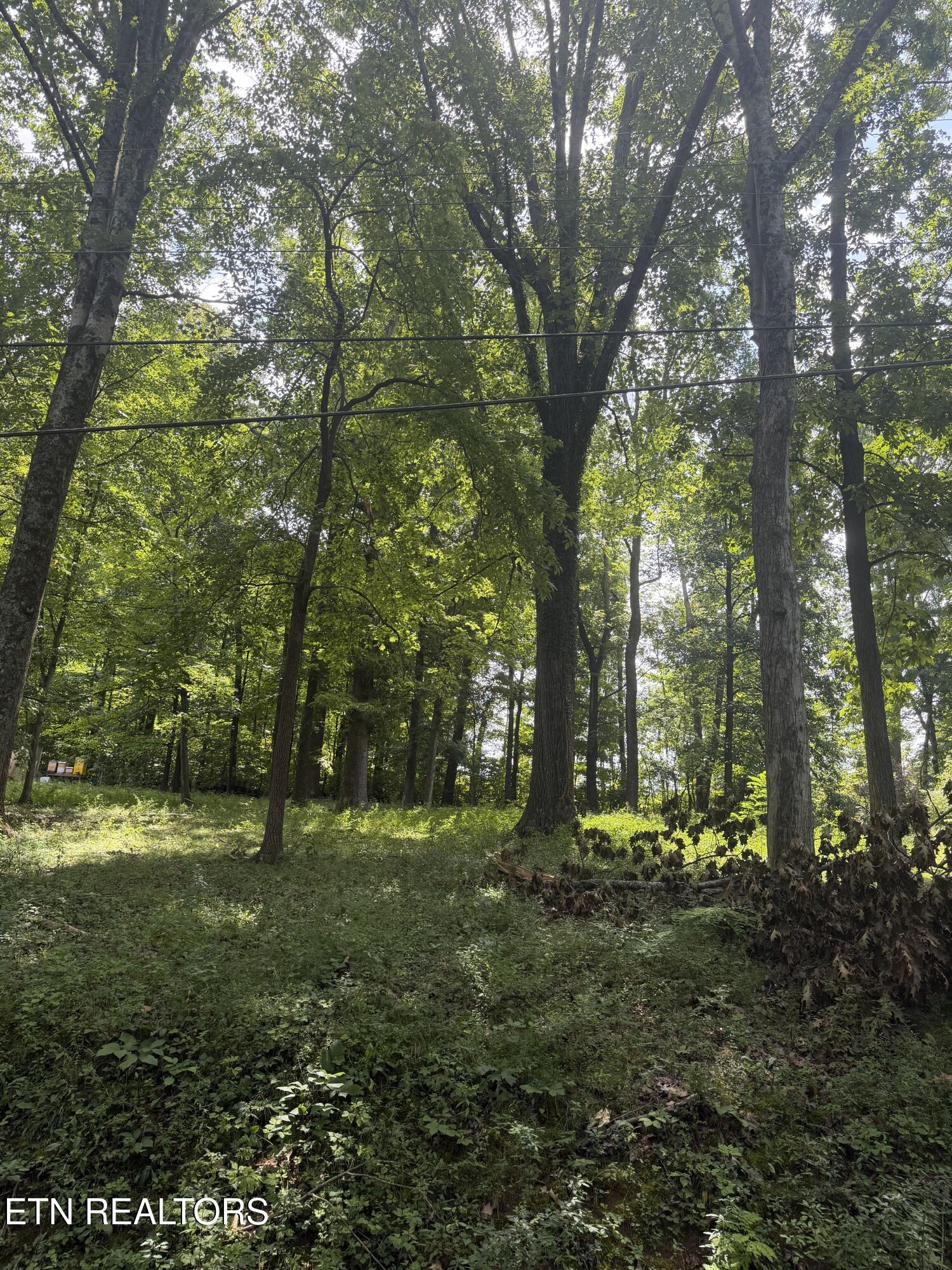 5000 Skyview Drive Knoxville TN 37917