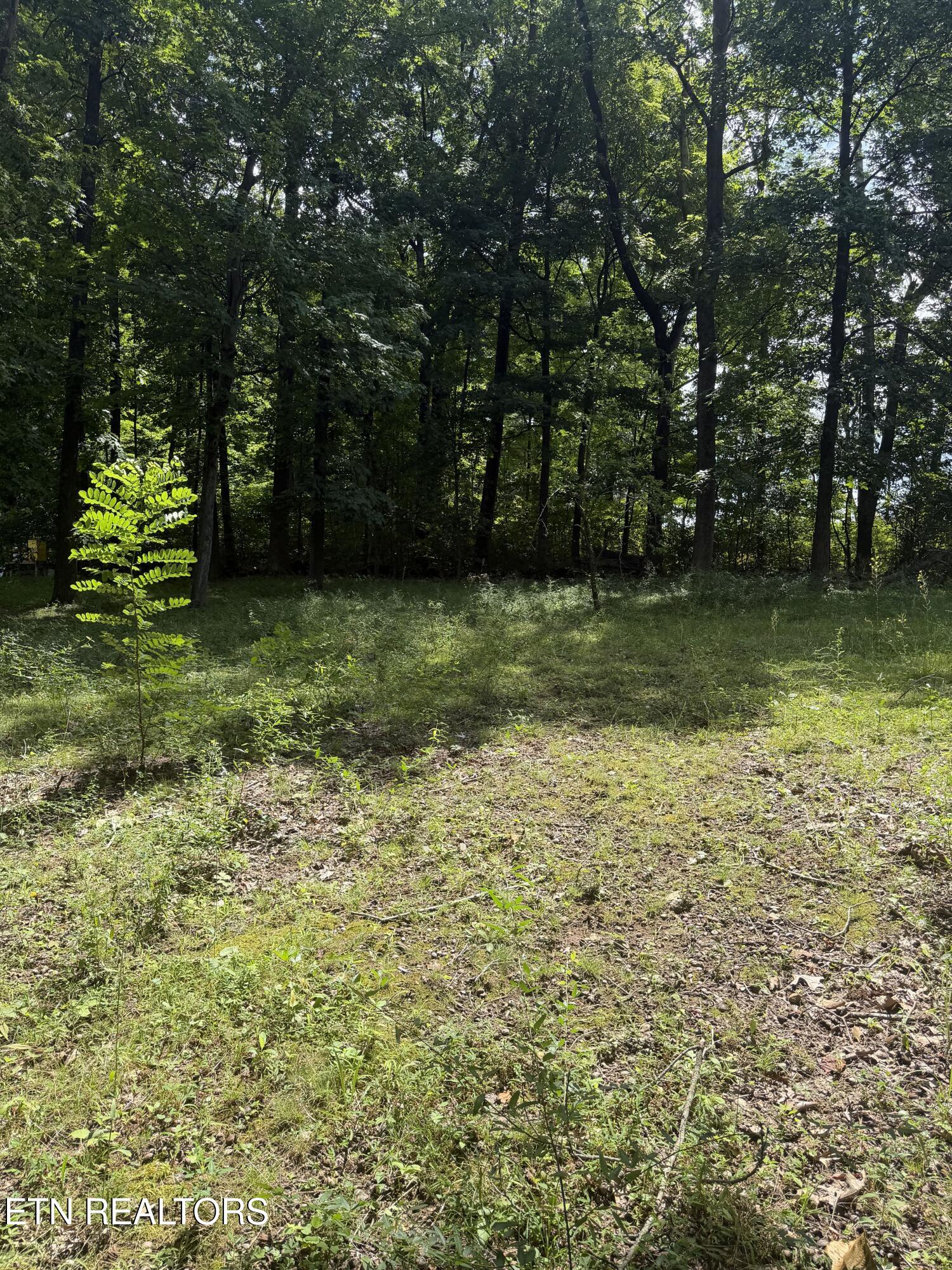 5000 Skyview Drive Knoxville TN 37917