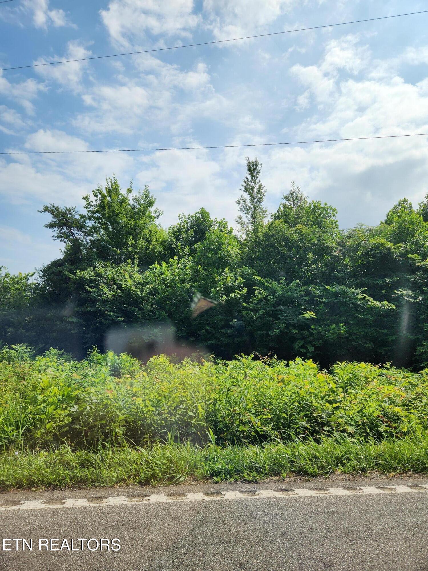 2288 Mecca Pike Tellico Plains TN 37385