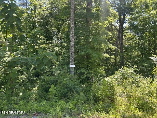 325 Beckett Ridge Road Townsend TN 37882