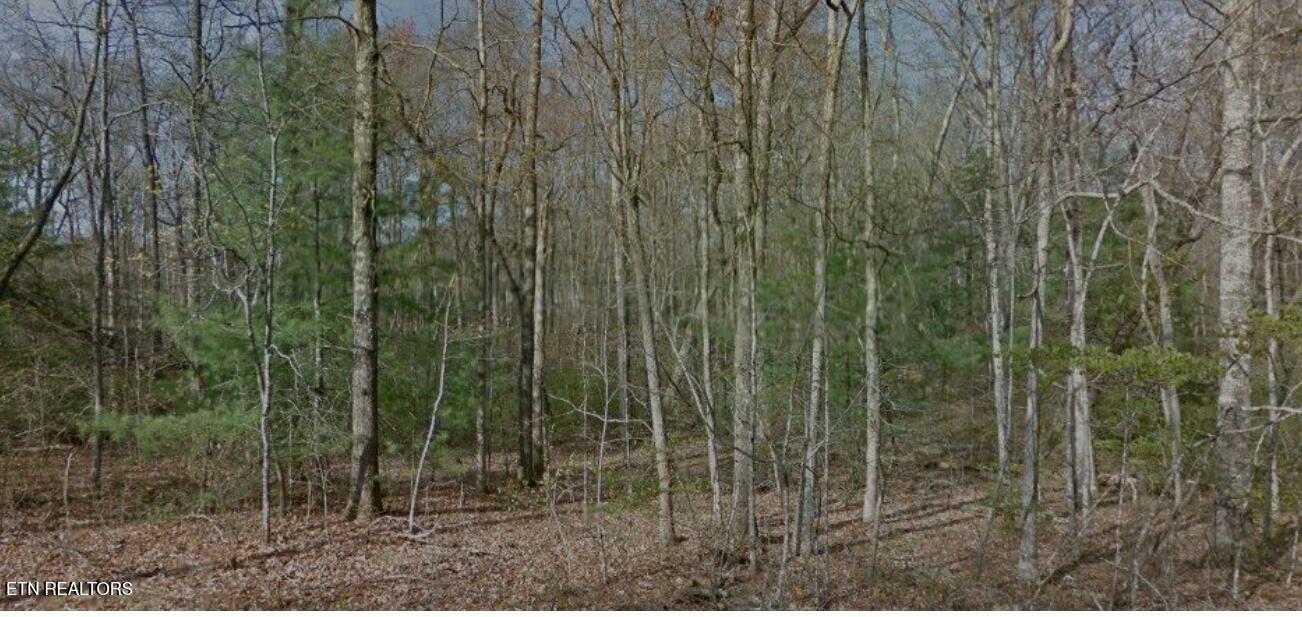 8042 Saratoga Drive Crossville TN 38572