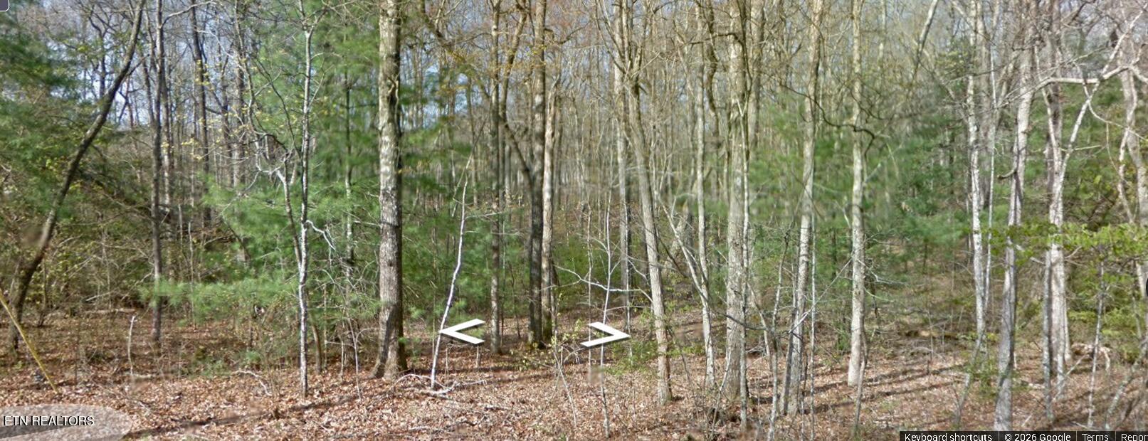 8042 Saratoga Drive Crossville TN 38572