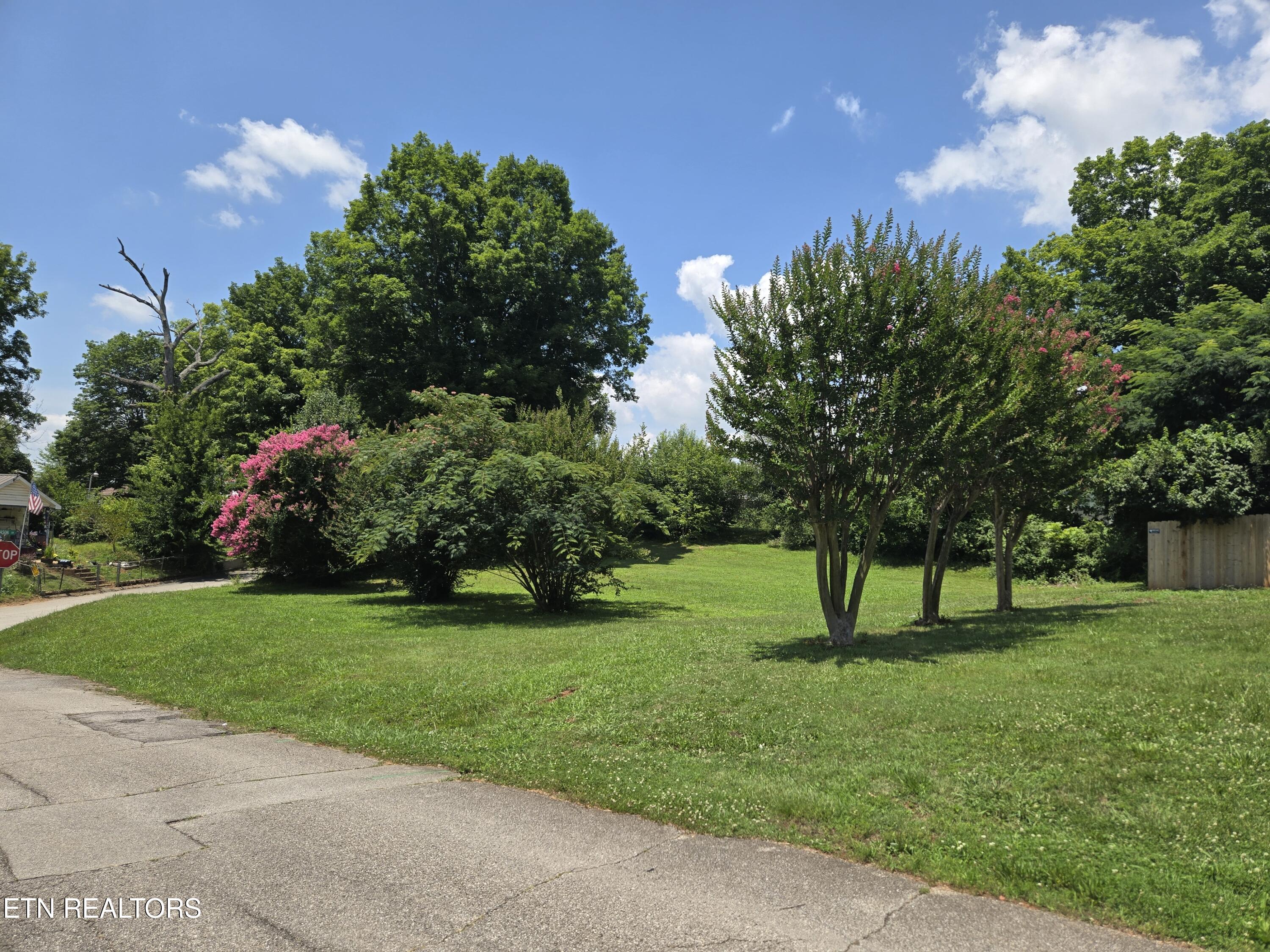 Rayder Avenue Loudon TN 37774