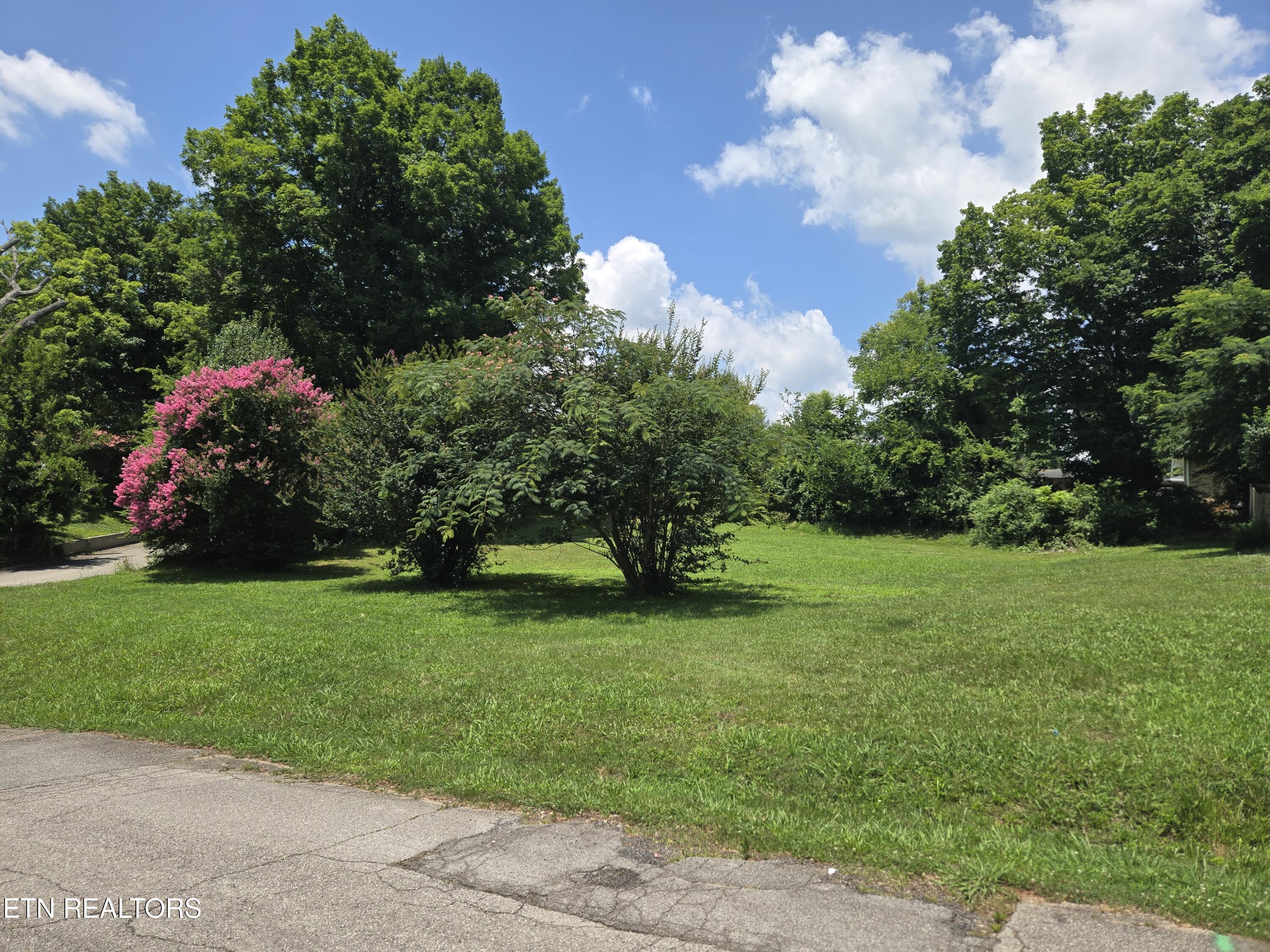 Rayder Avenue Loudon TN 37774