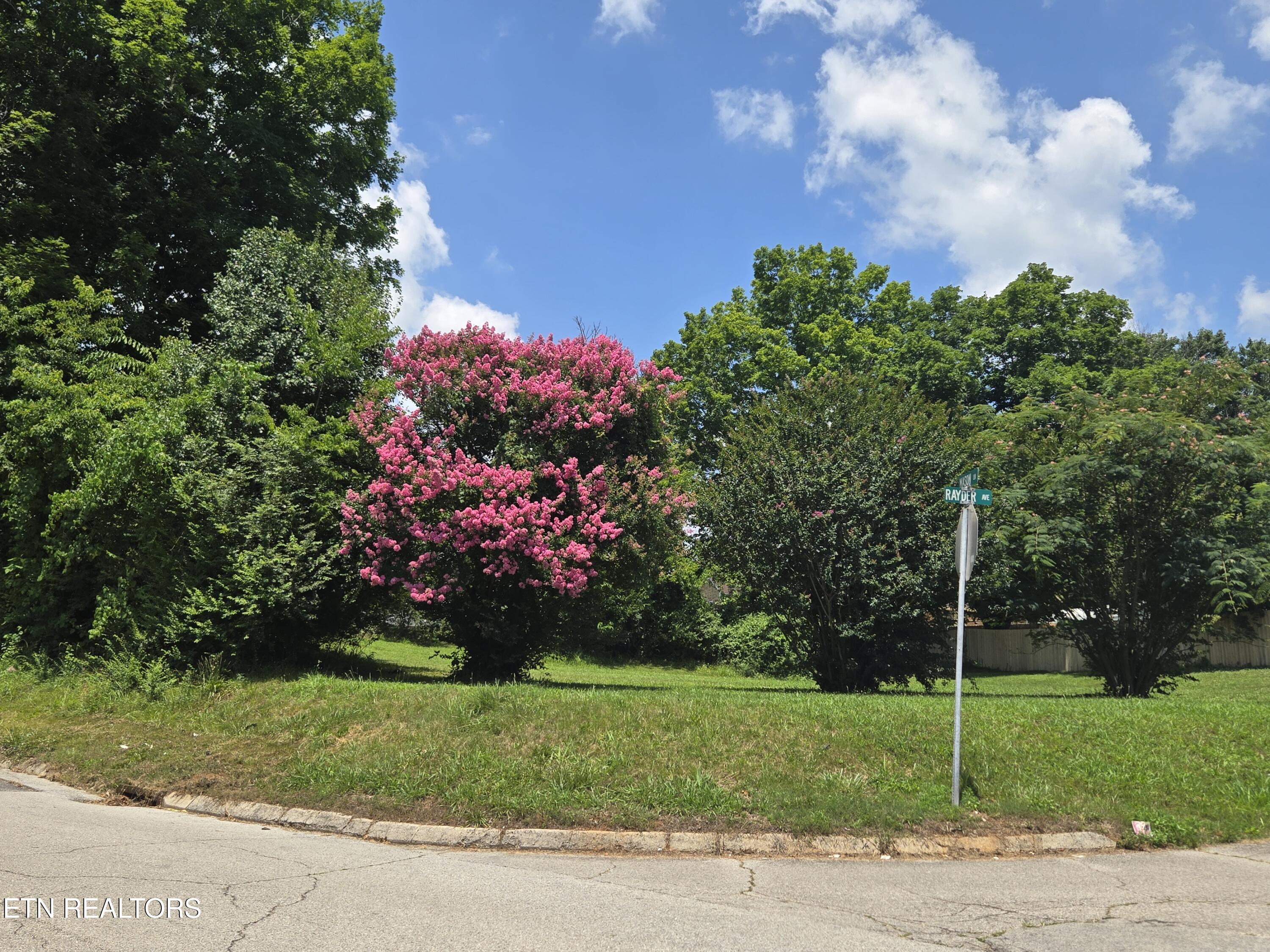 Rayder Avenue Loudon TN 37774
