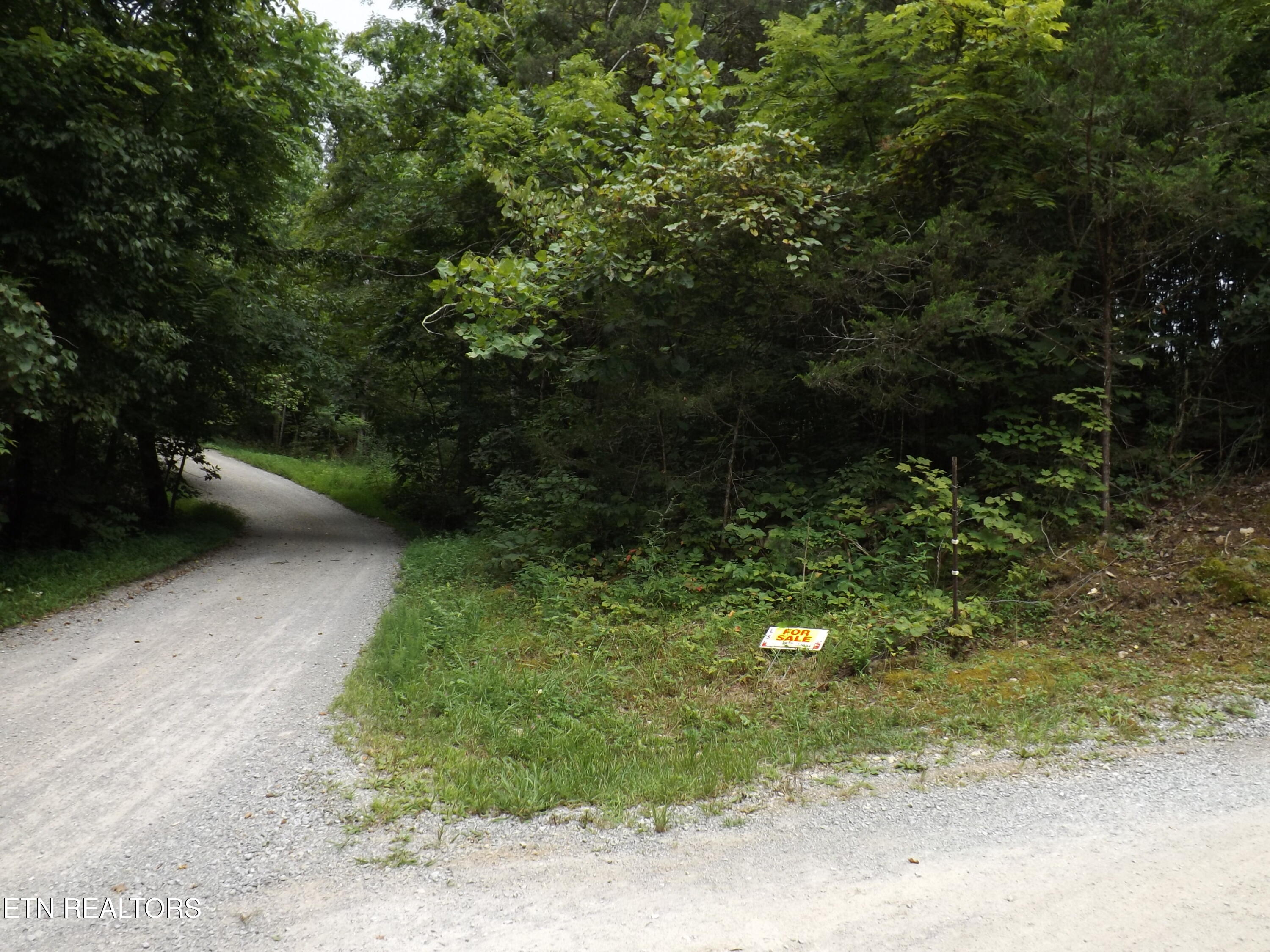 Tbd Roy Thomas Lane New Tazewell TN 37825