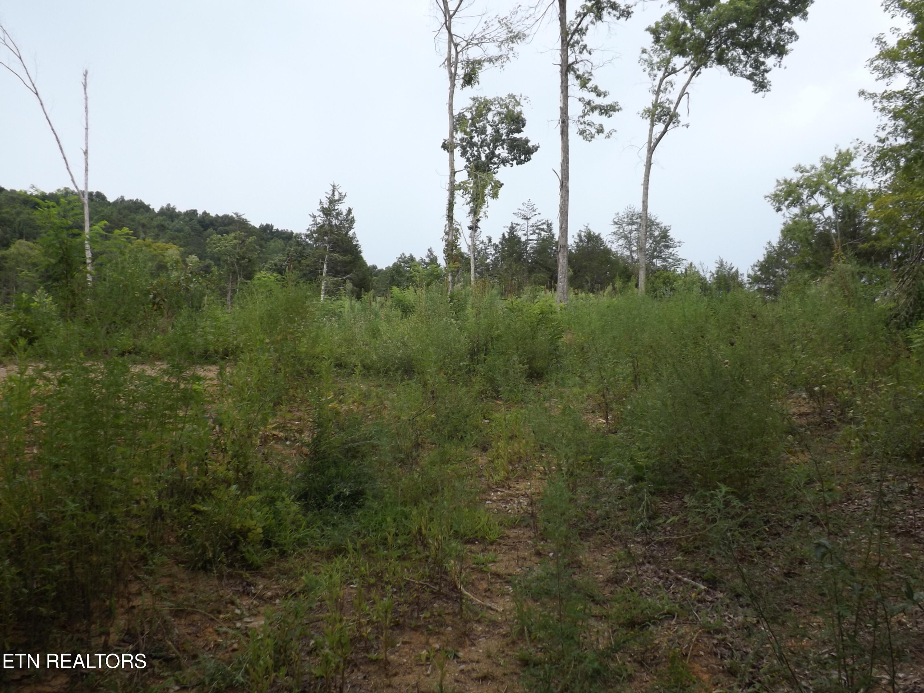 Tbd Roy Thomas Lane New Tazewell TN 37825