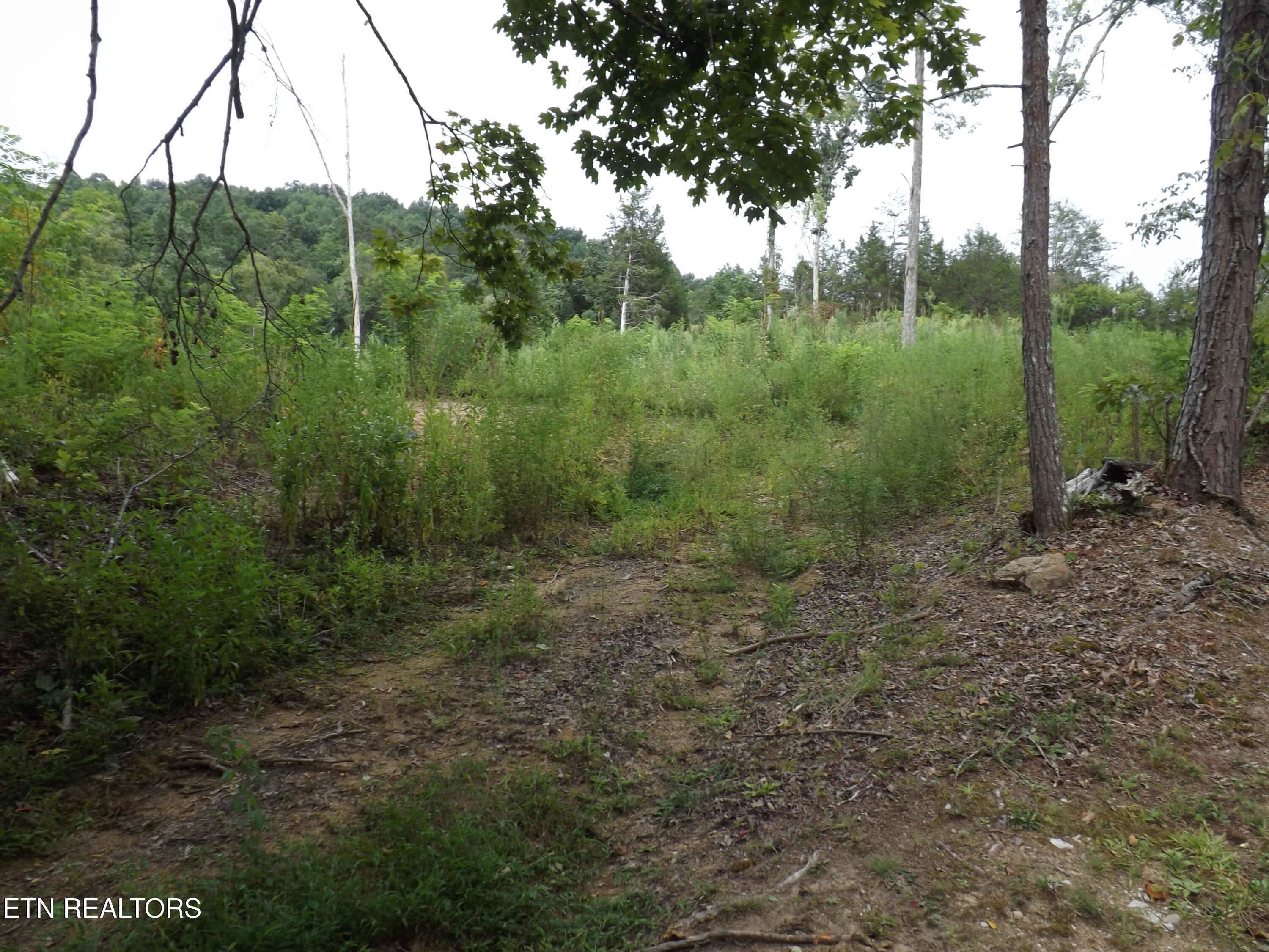 Tbd Roy Thomas Lane New Tazewell TN 37825