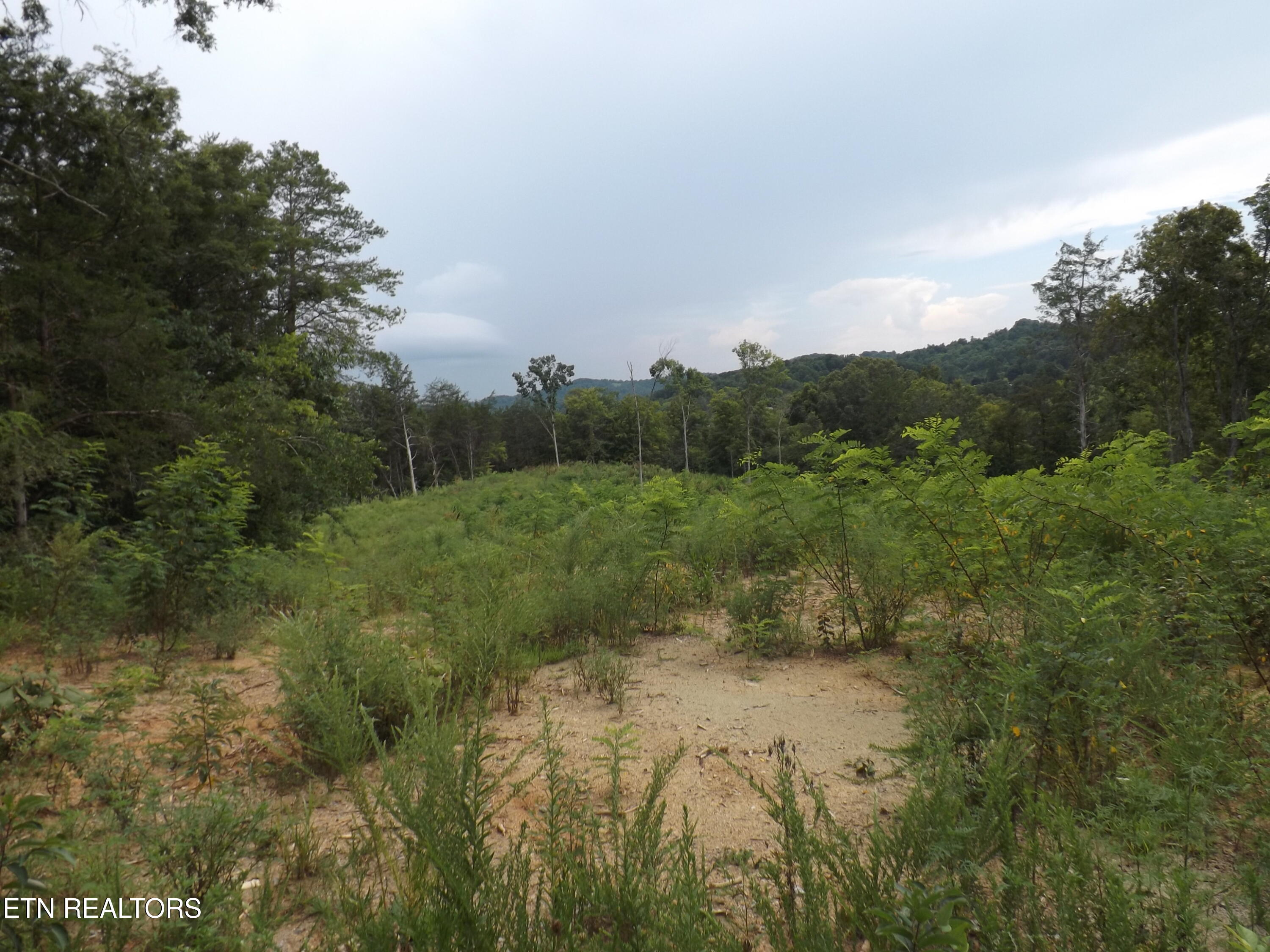 Tbd Roy Thomas Lane New Tazewell TN 37825