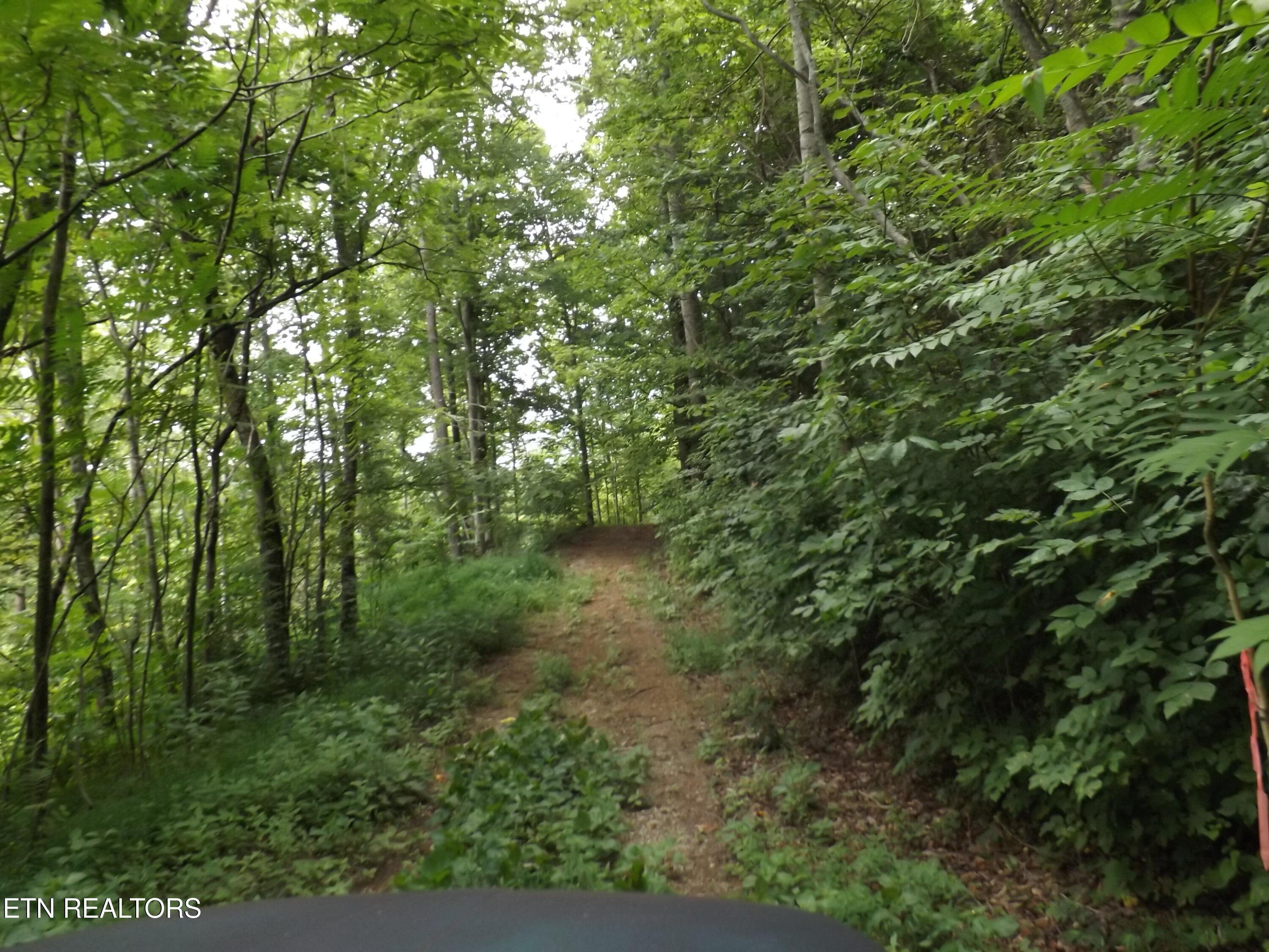 Tbd Roy Thomas Lane New Tazewell TN 37825