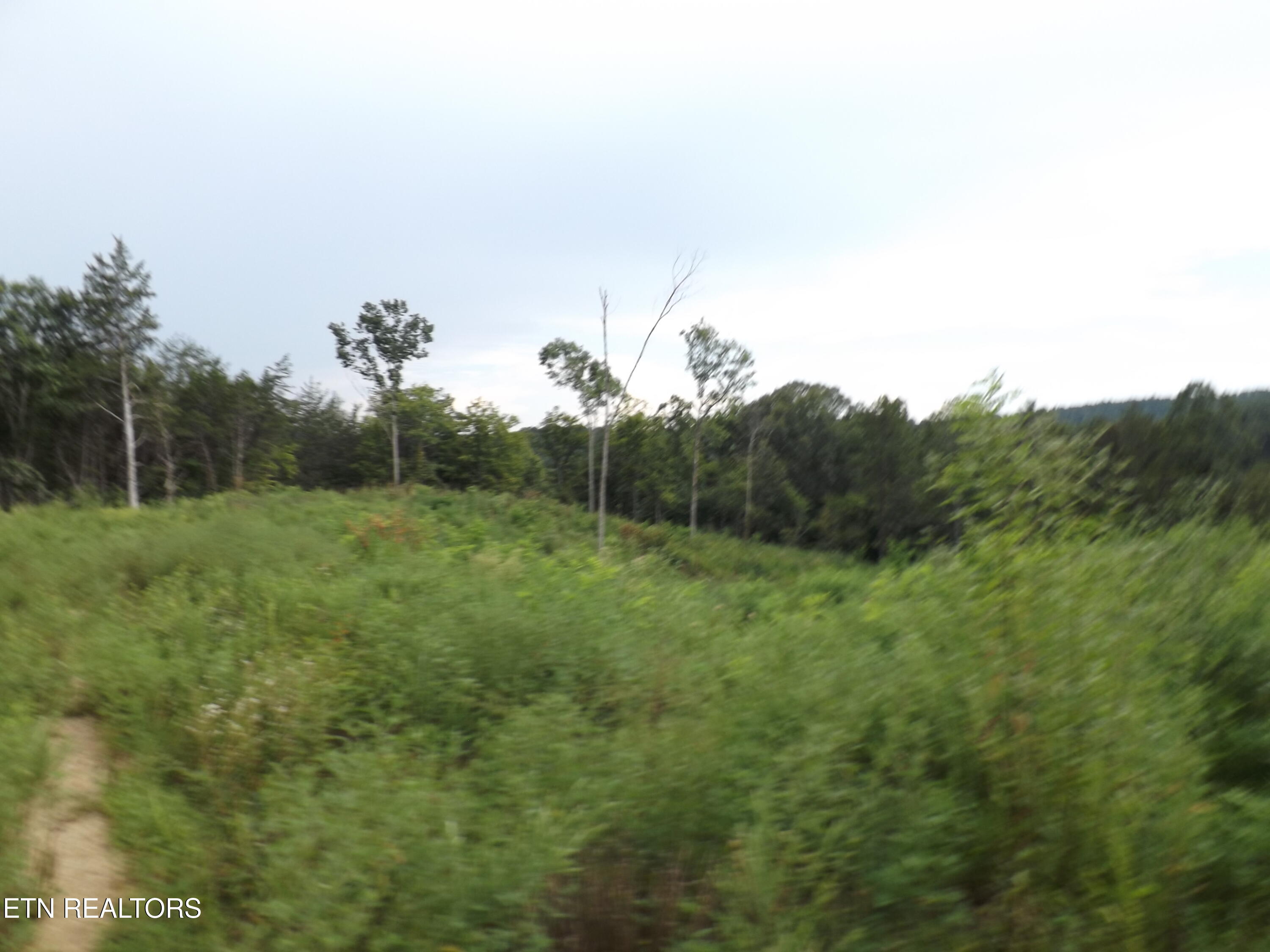 Tbd Roy Thomas Lane New Tazewell TN 37825