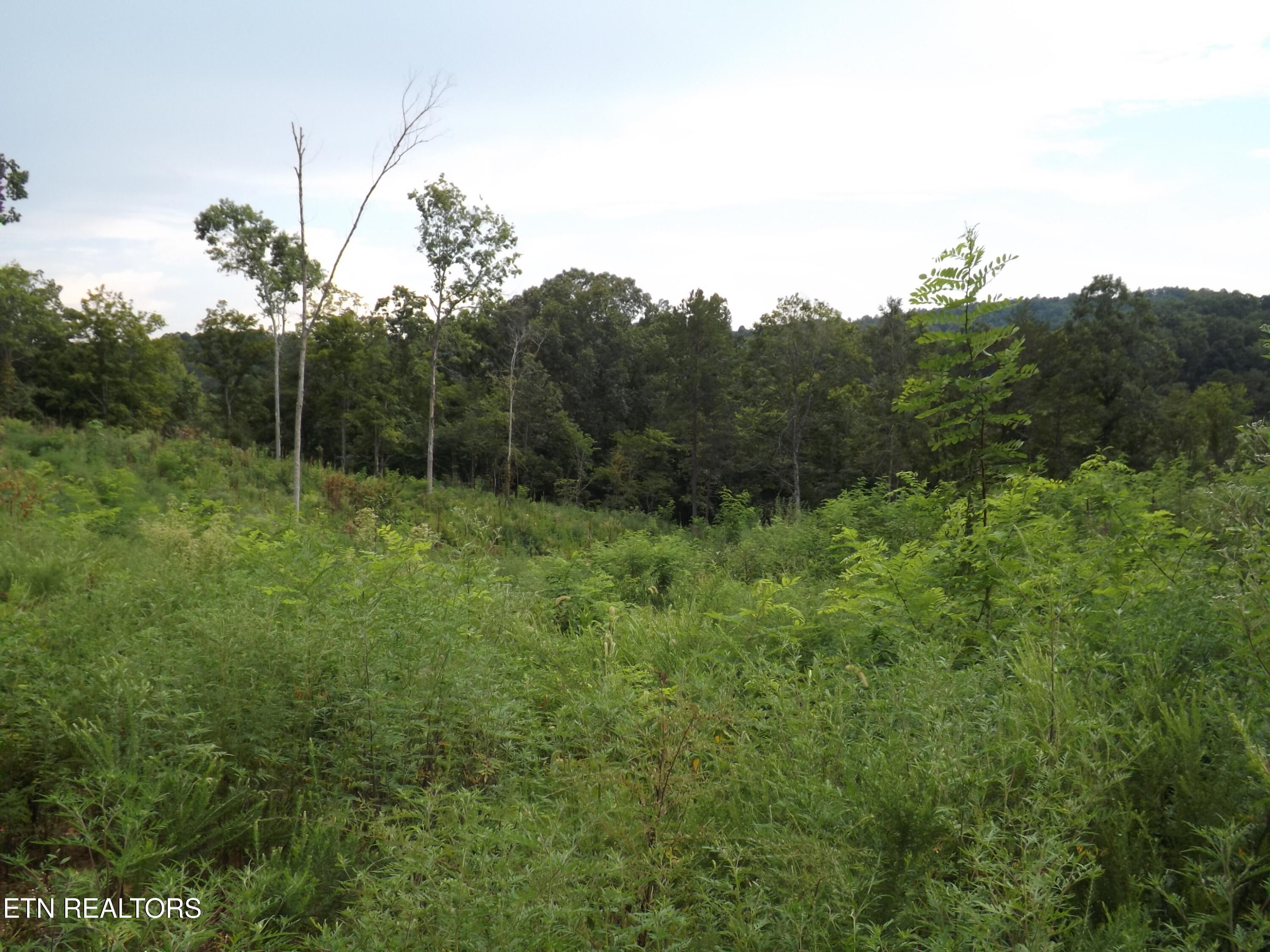 Tbd Roy Thomas Lane New Tazewell TN 37825