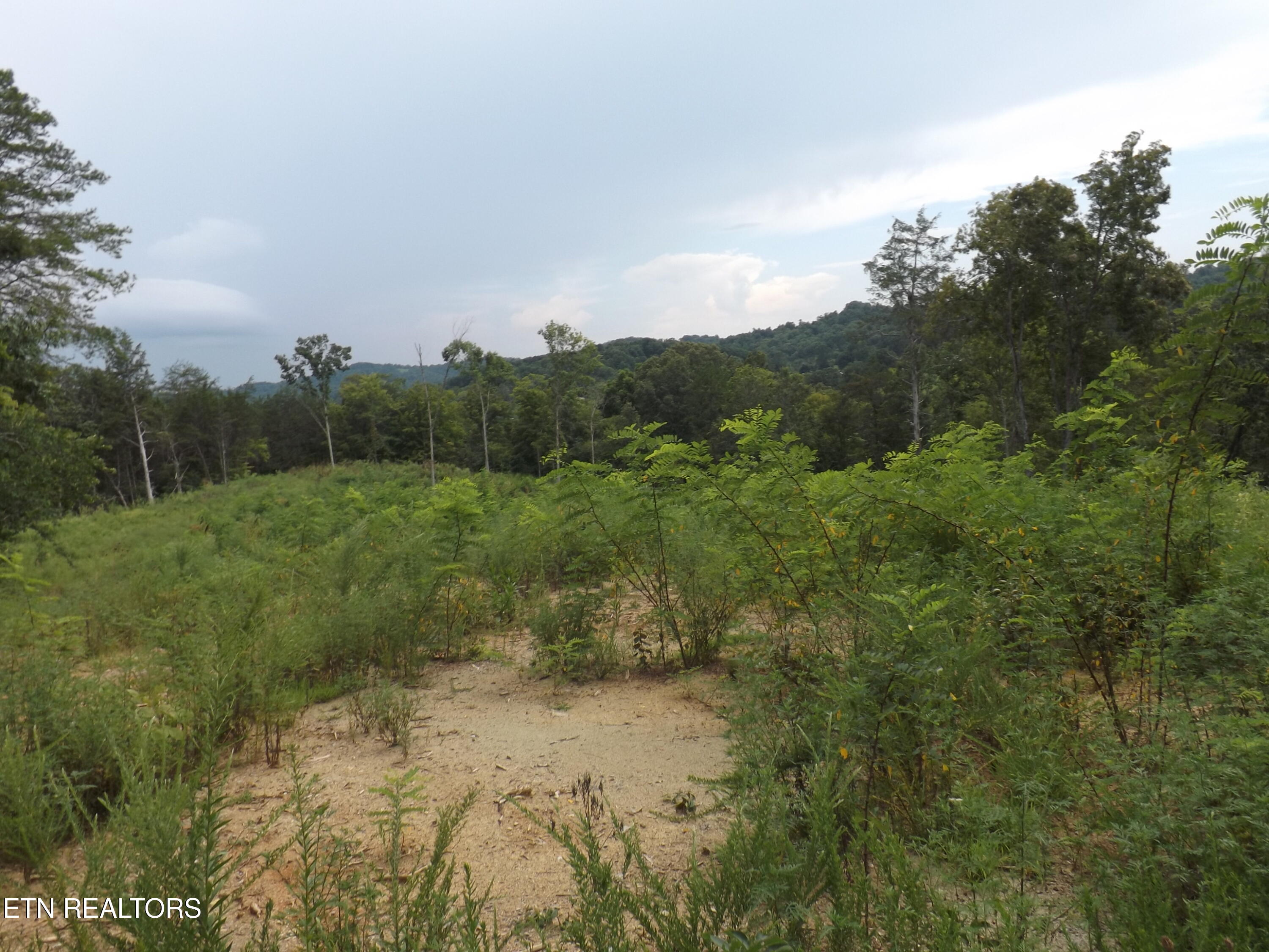 Tbd Roy Thomas Lane New Tazewell TN 37825