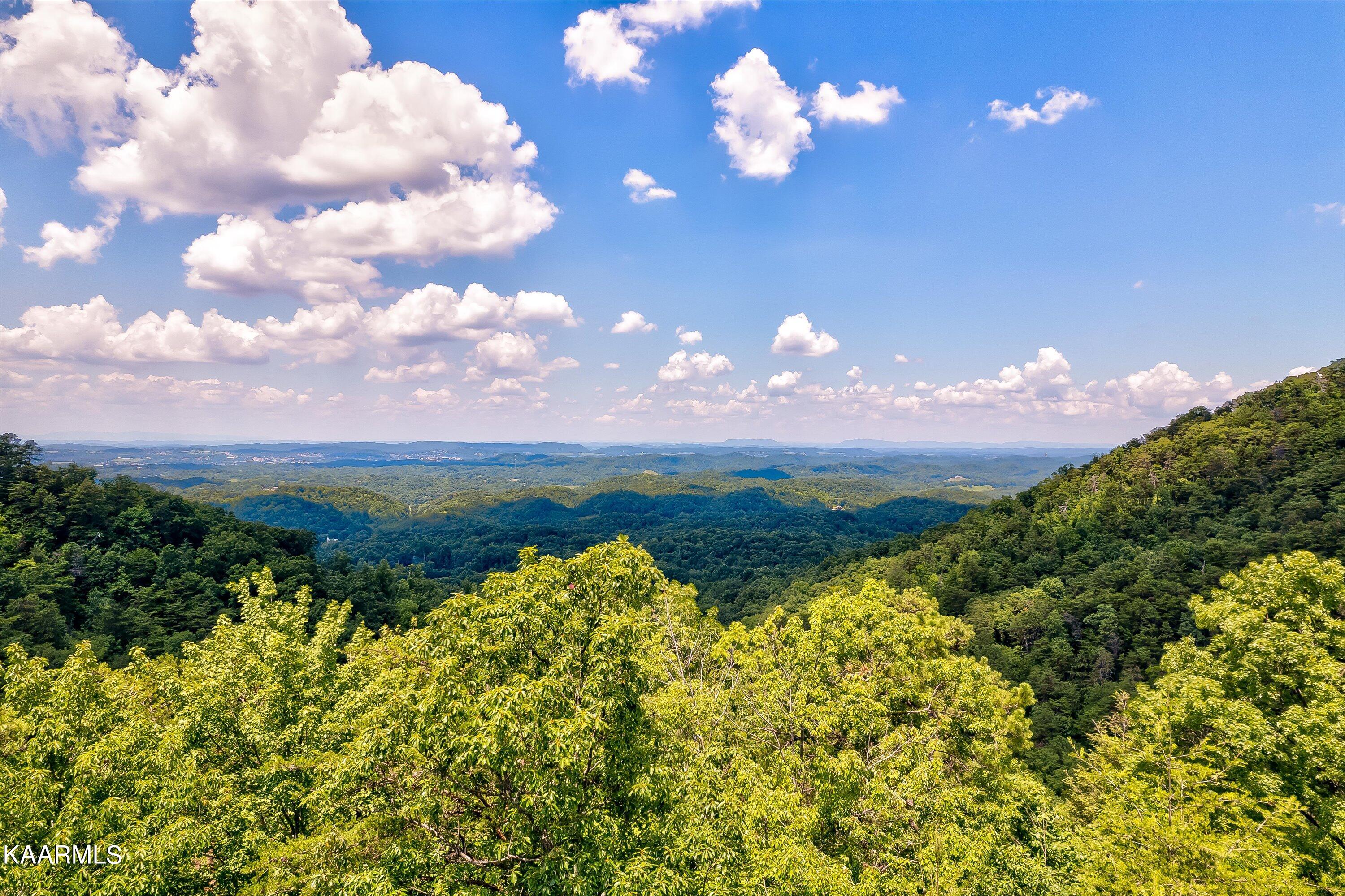 Reagan Springs Road Seymour TN 37865